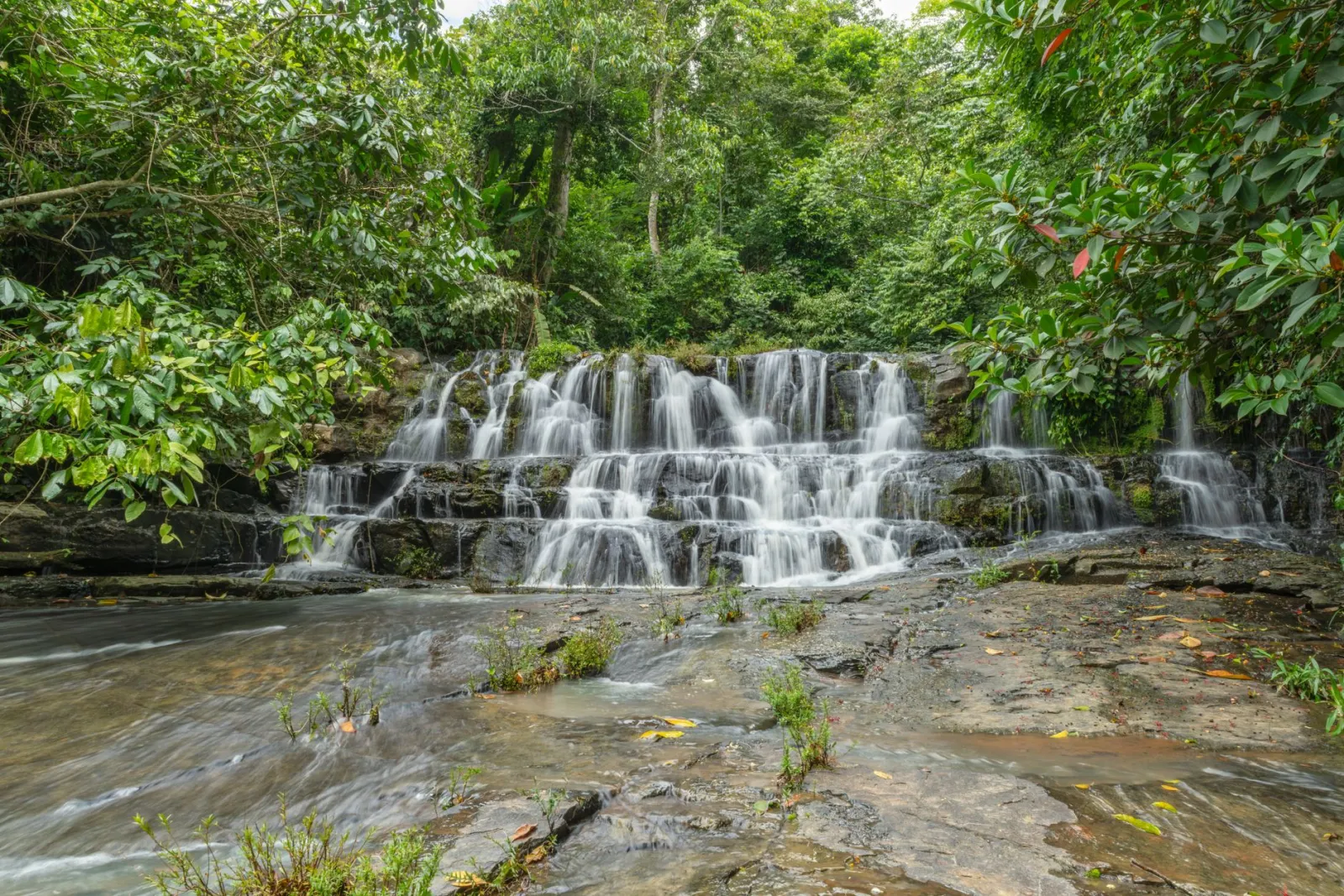 A cascading waterfall in lush Costa Rican rainforest