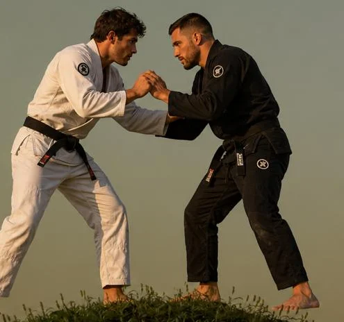 Two jiu-jitsu practitioners gripping up on a grassy hilltop at golden hour, rendered as a 3D virtual world